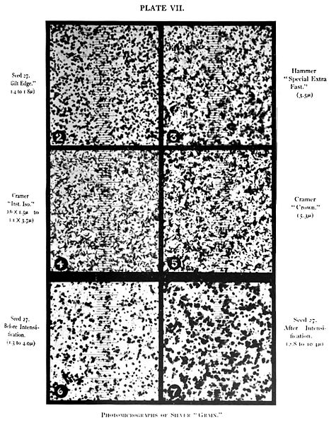 Figure 1 - Silver halide photographic grains, from the Wikicommons and in the public domain.  Originally from Plate VII from Robert James Wallace, "The Silver 'Grain' in Photography" by Robert James Wallace, The Astrophysical Journal, Vol. XX, No. 2, Sept. 1904, pp. 113–122, Chicago.