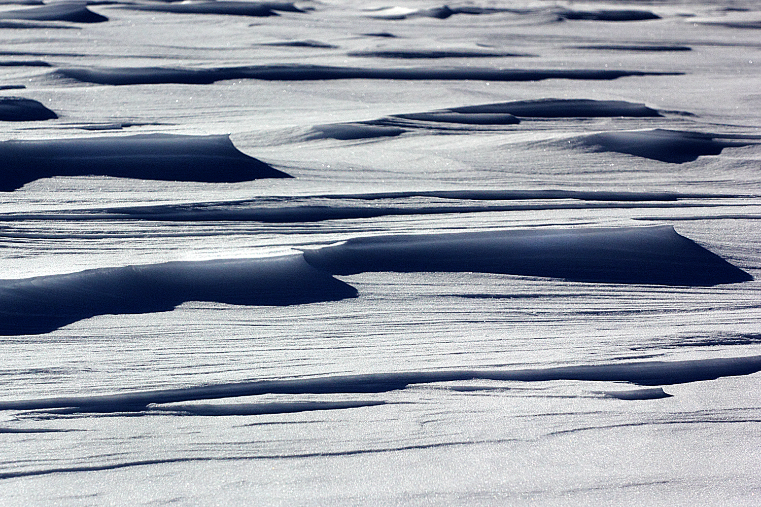 Figure 2 - Windblown peak on a field of snow, 2013 (c) DEWolf