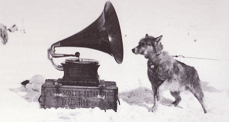 Figure 1 - Herbert Ponting's "Sled dog listening to gramophone, 1910."  From the Wikicommons and in the public domain.