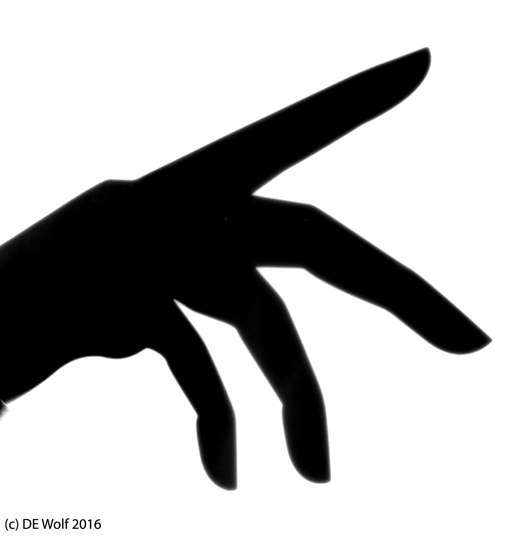 Figure 1 -Hand silhouette, IPhone photograph, (c) DE Wolf 2016.