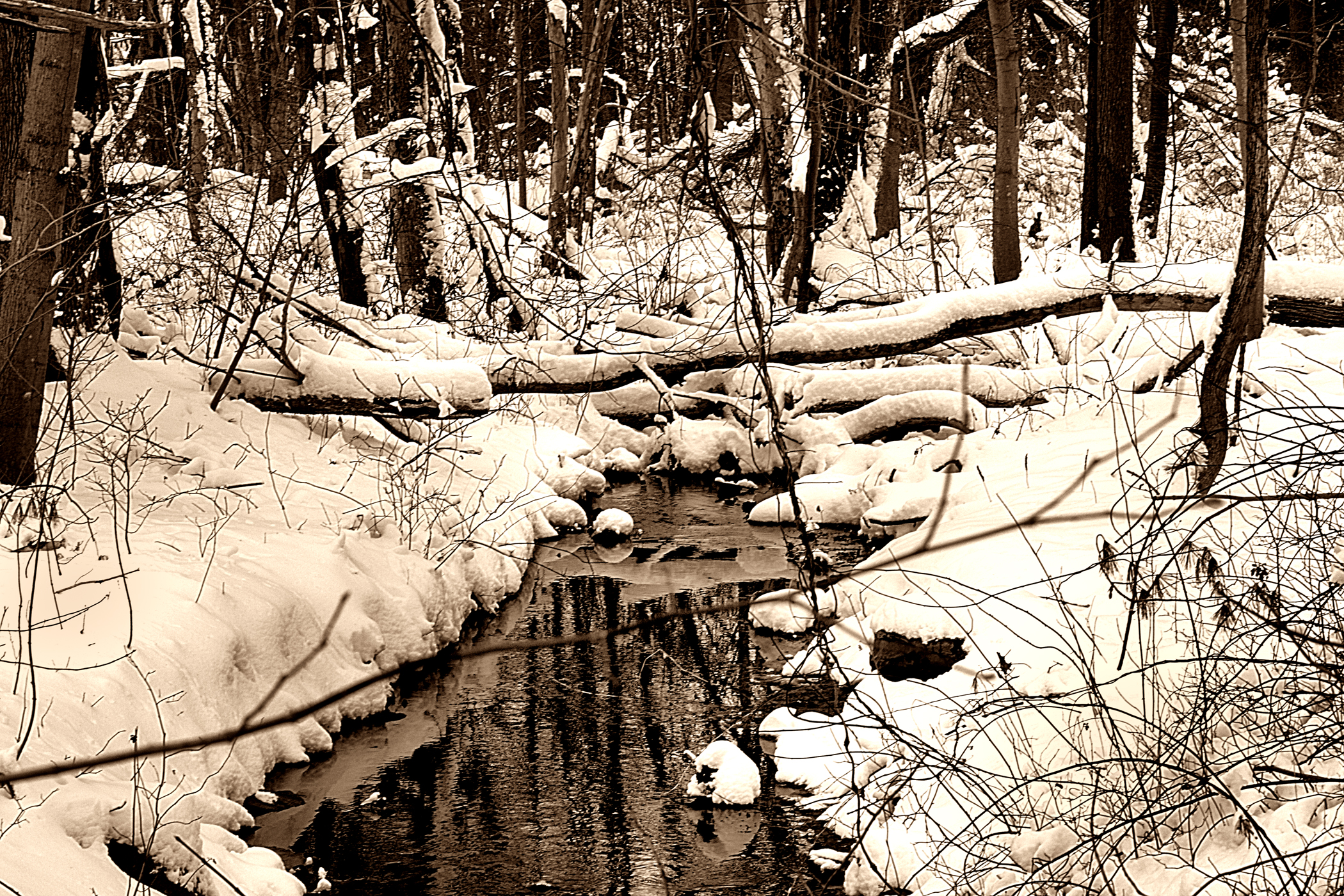 2. Stream in winter