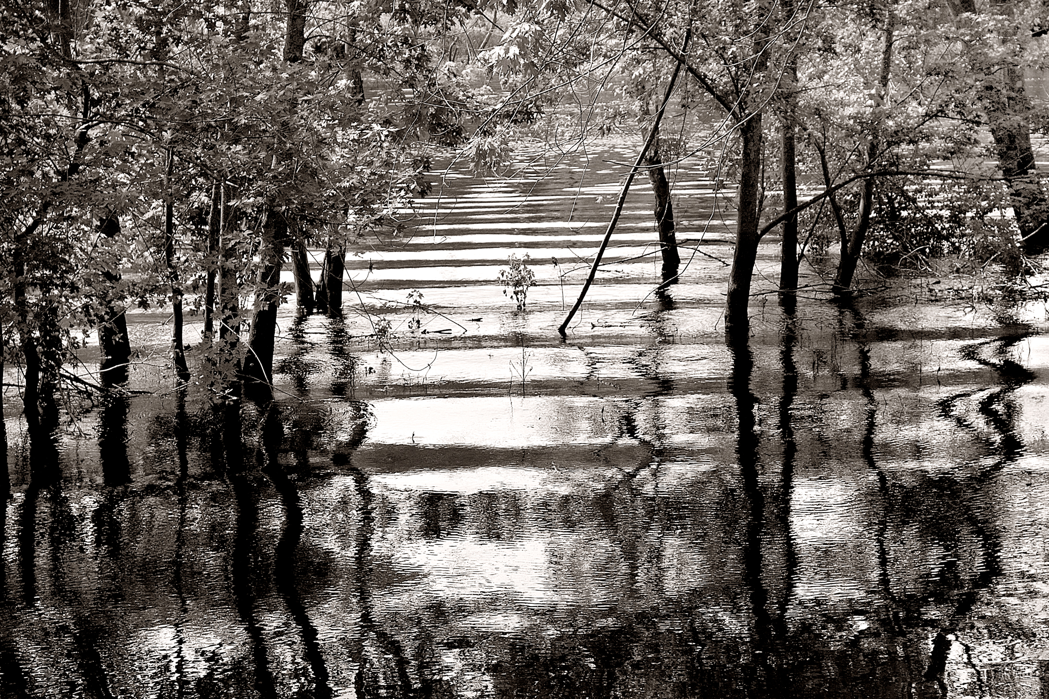 4. Waves along the Concord River