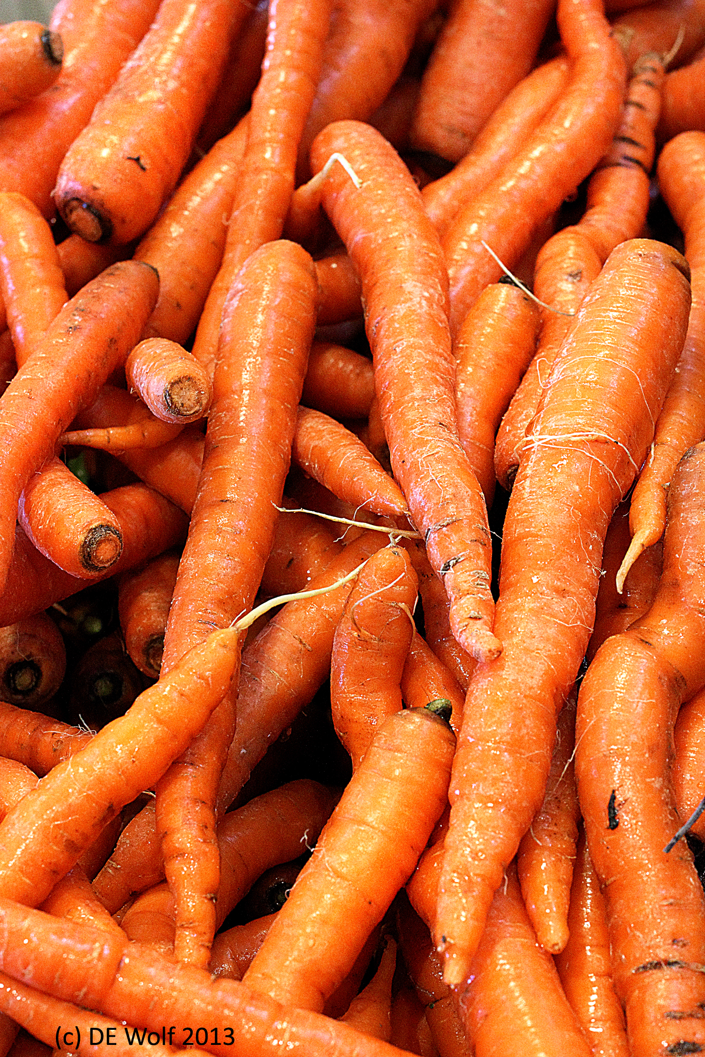 Carrots