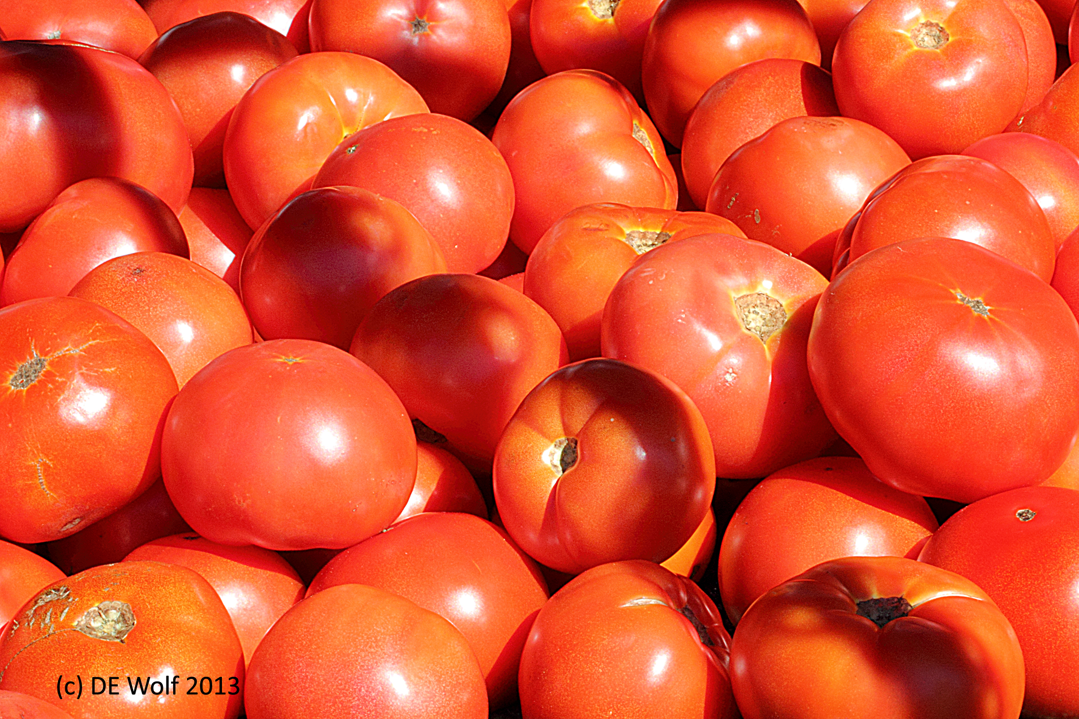 Tomatoes