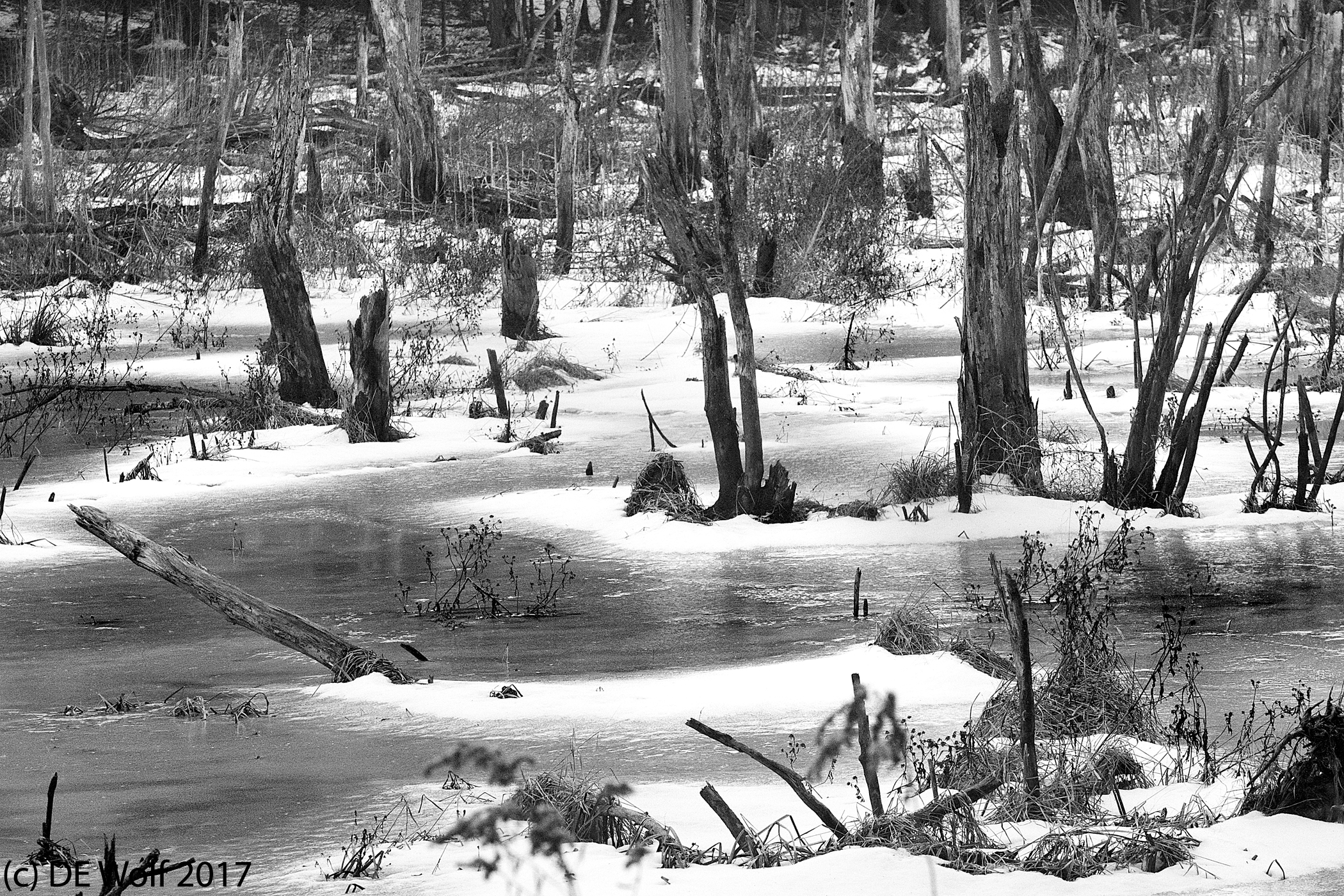 15. Winter Ice #1