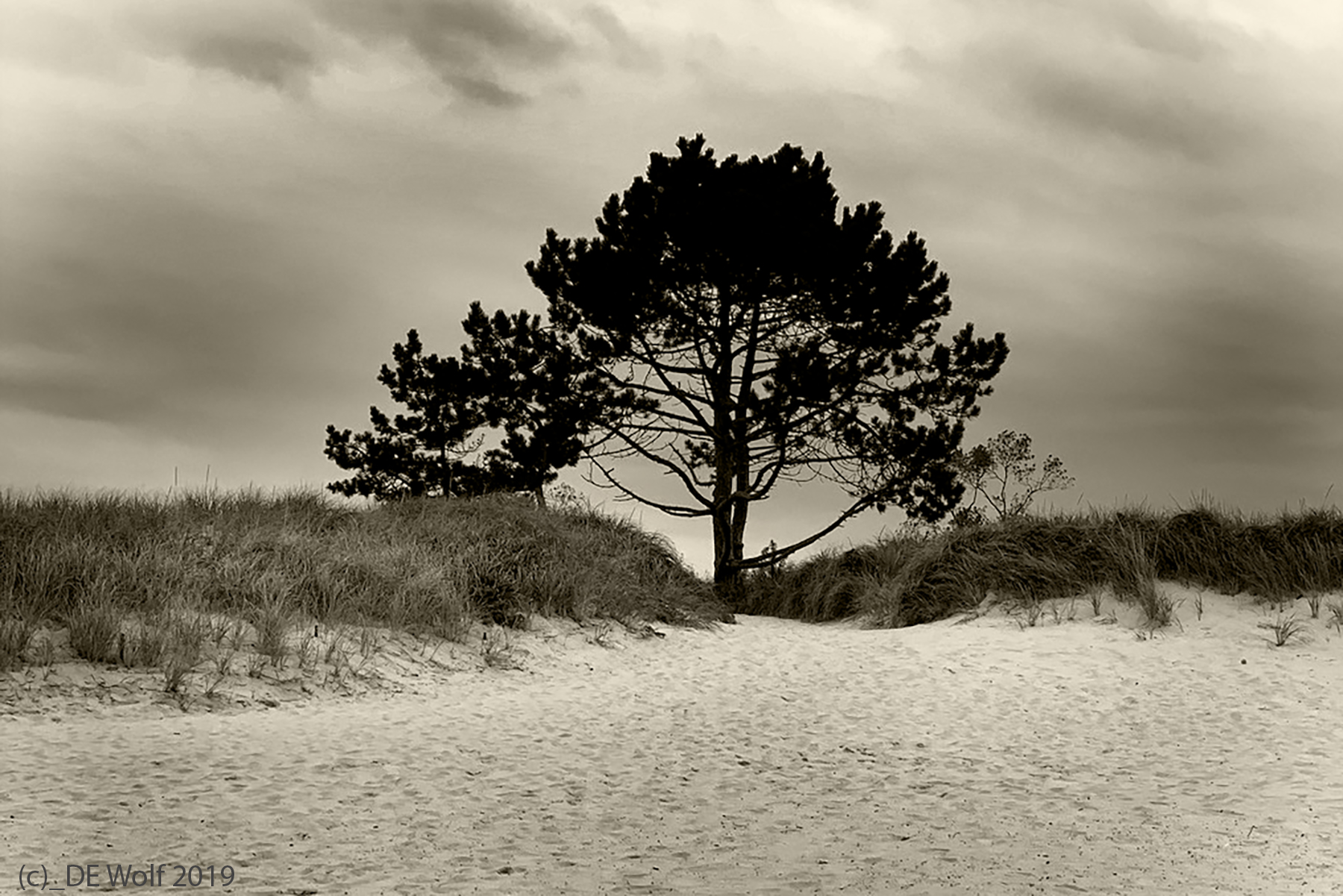 17. Wingaersheek Beach